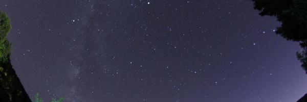 thibbojunior Profile Banner