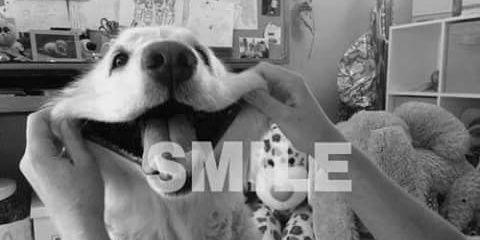 Anna_SanchezR's profile banner image