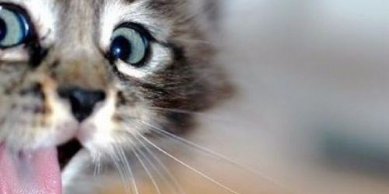 MsAmandaP's profile banner image