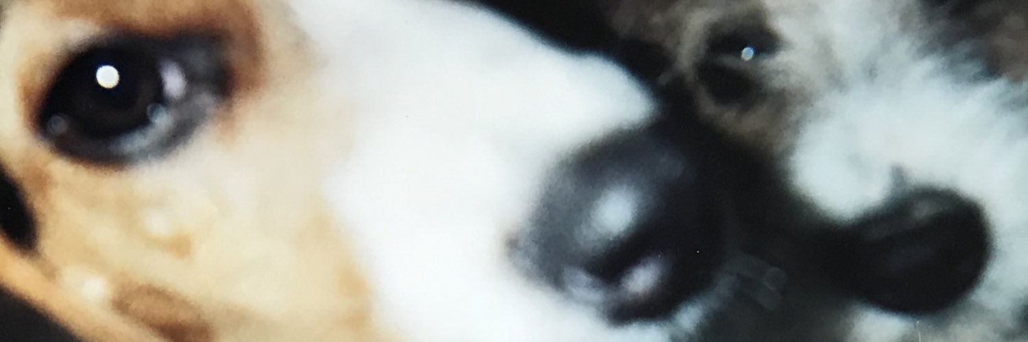 rebeccakos's profile banner image