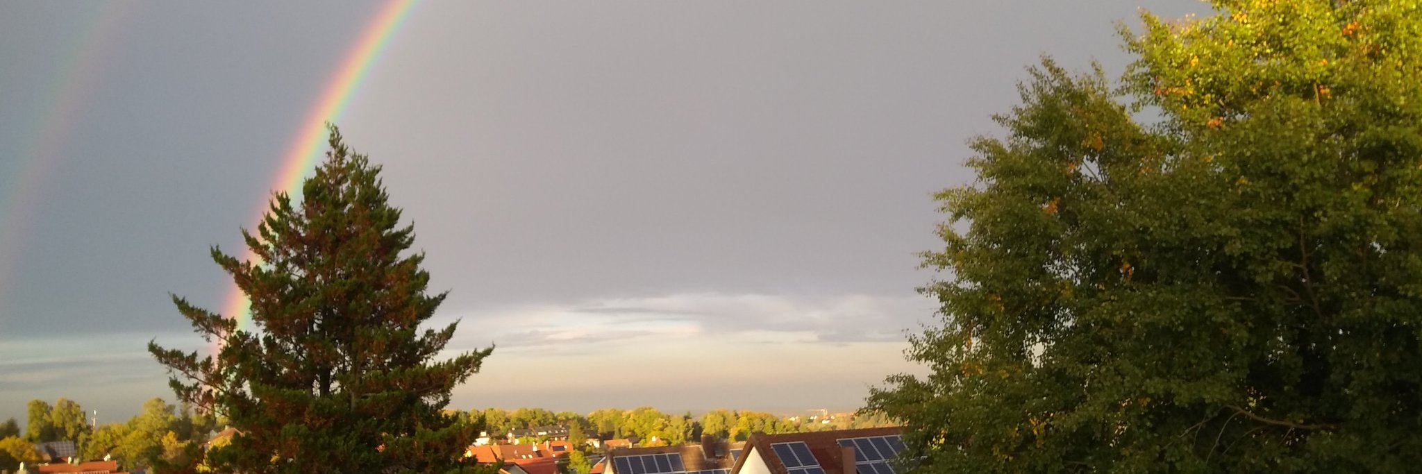 MBirthaelmer's profile banner image