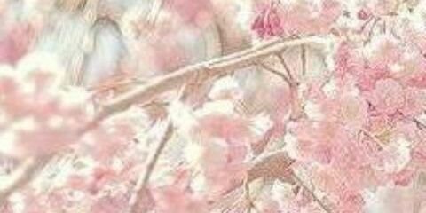 evelynesmets's profile banner image