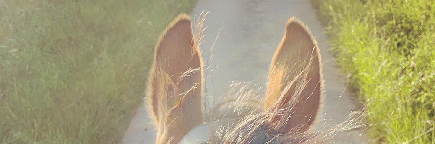 R_J_M28's profile banner image