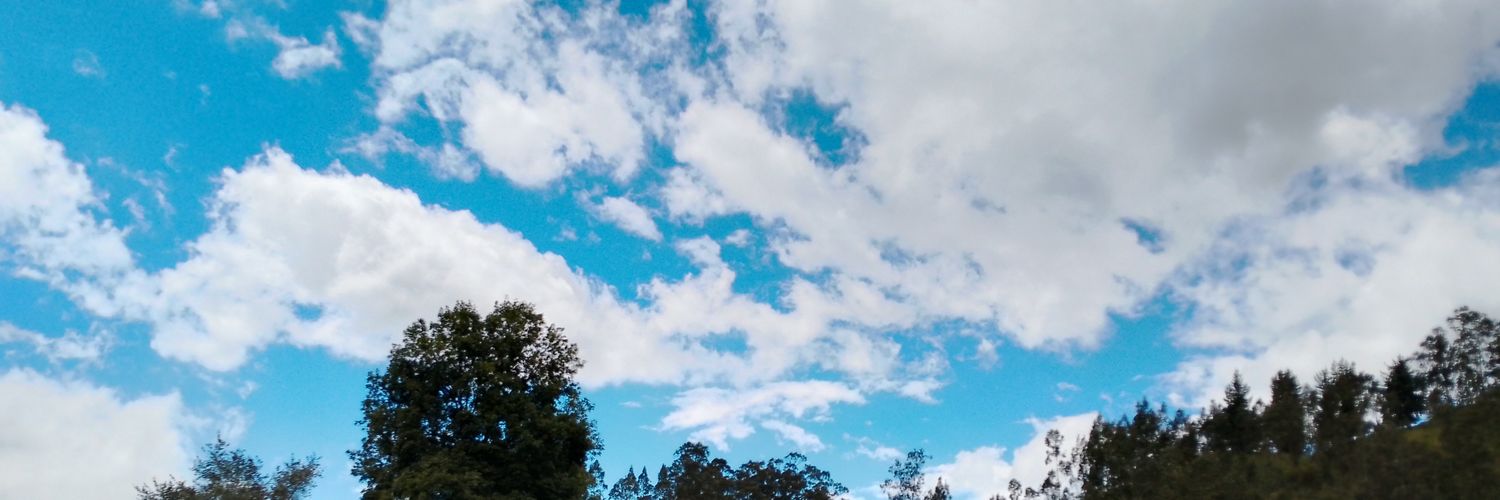 EleLayana's profile banner image