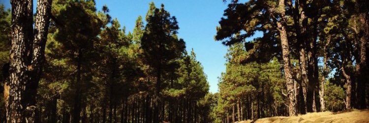 Betsaida Glez Rguez /❤️ banner