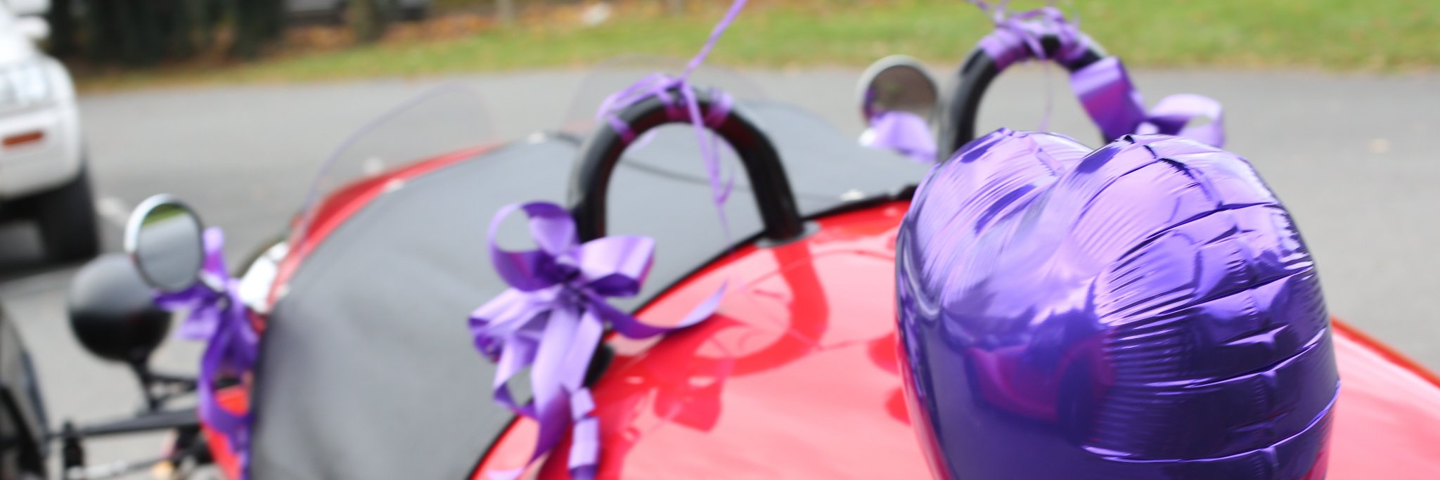 Jamie-Leigh Chapman banner