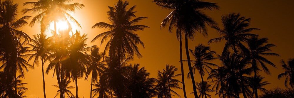 danicorreamo's profile banner image