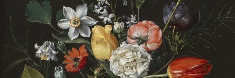 Andrea Pagès Poyatos banner