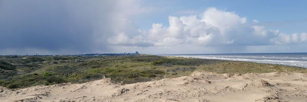 friedje1959's profile banner image