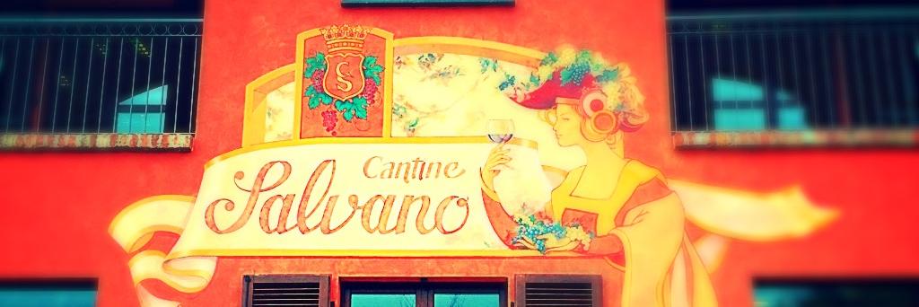 Salvanovini's profile banner image