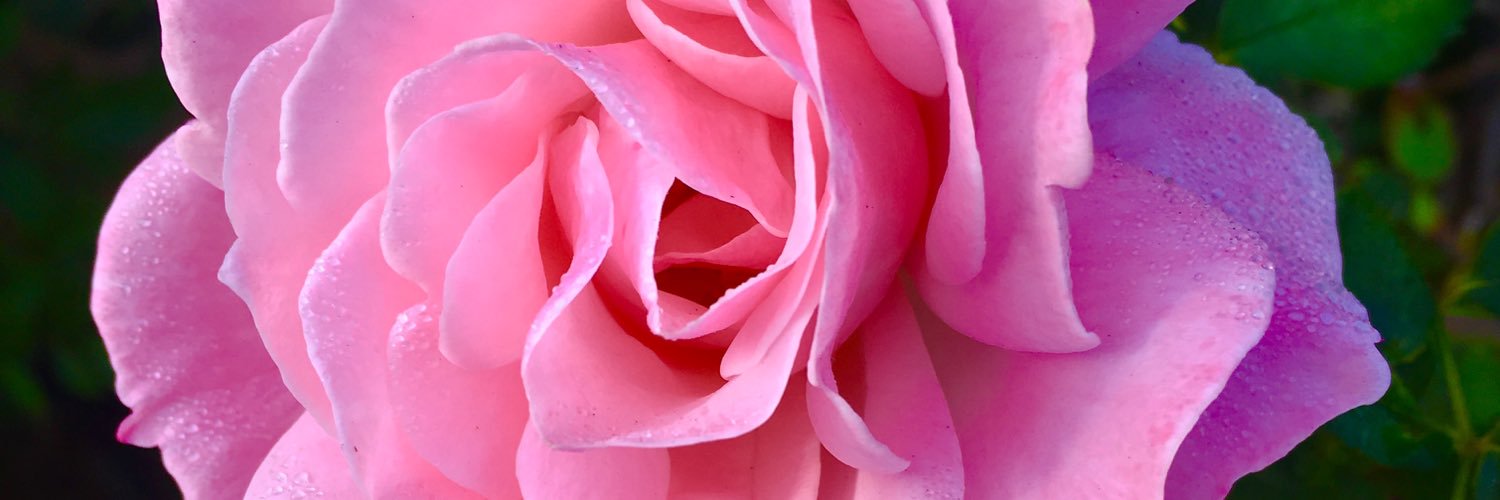 rachel_raw's profile banner image