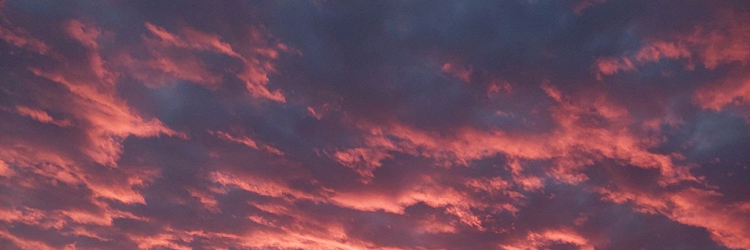neeelim's profile banner image