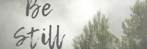 MVeroGarzon's profile banner image