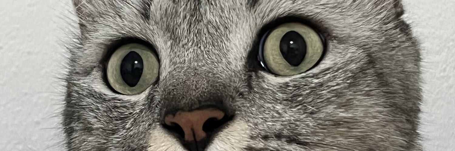 gippanida's profile banner image