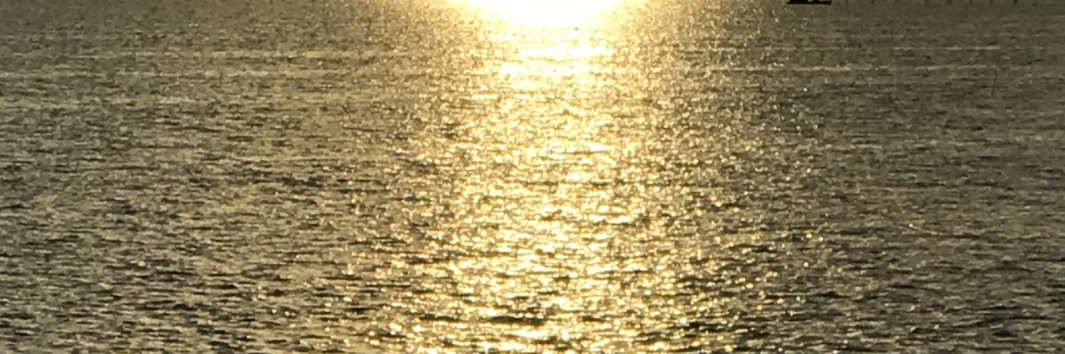 nivadck's profile banner image