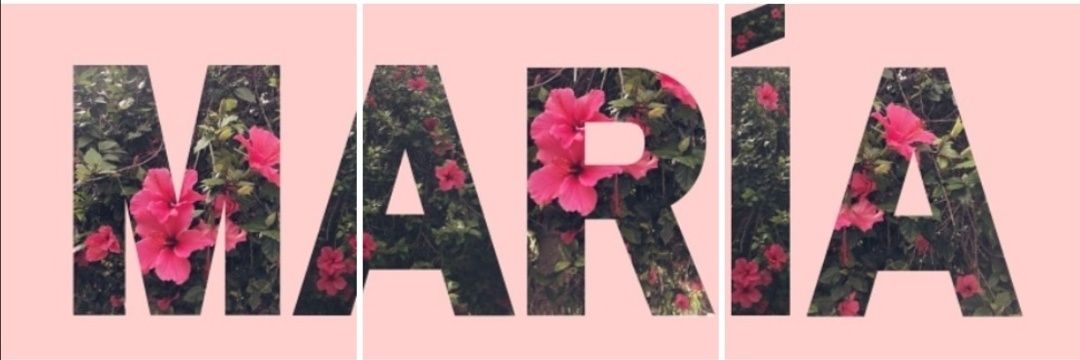 Mar_munozC's profile banner image