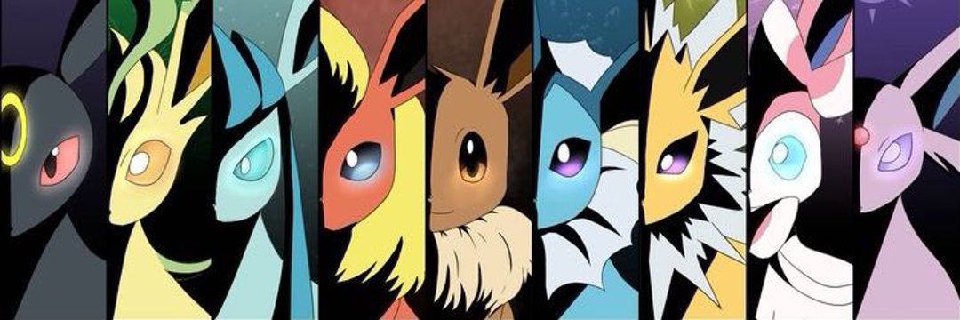 bushikunn's profile banner image