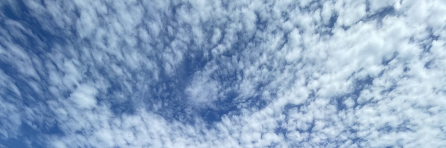 flopas1's profile banner image