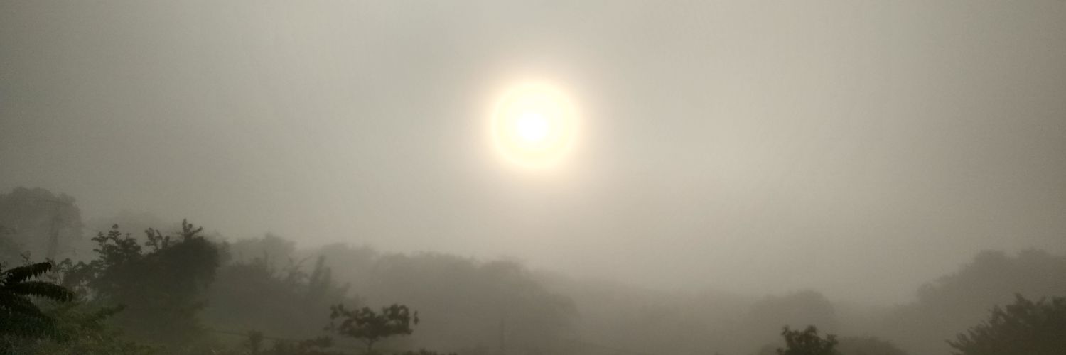 🌹 Antídoto liviano 🌹 banner