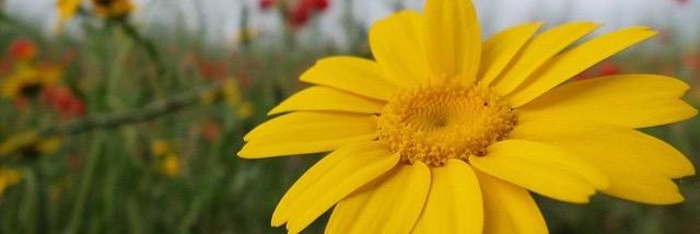 NuriaRuiz7's profile banner image