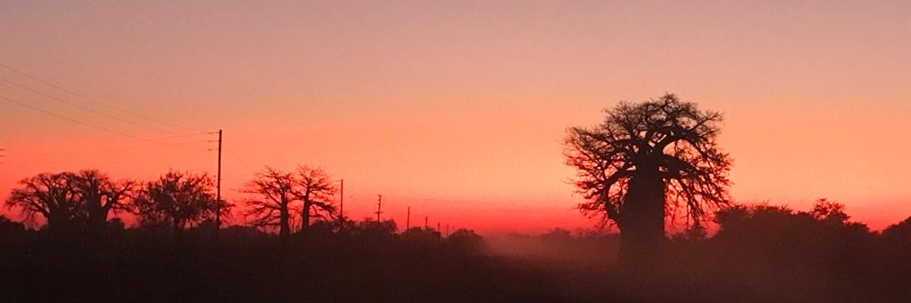 Cobus95's profile banner image