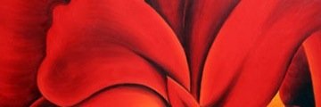 adrigafo's profile banner image