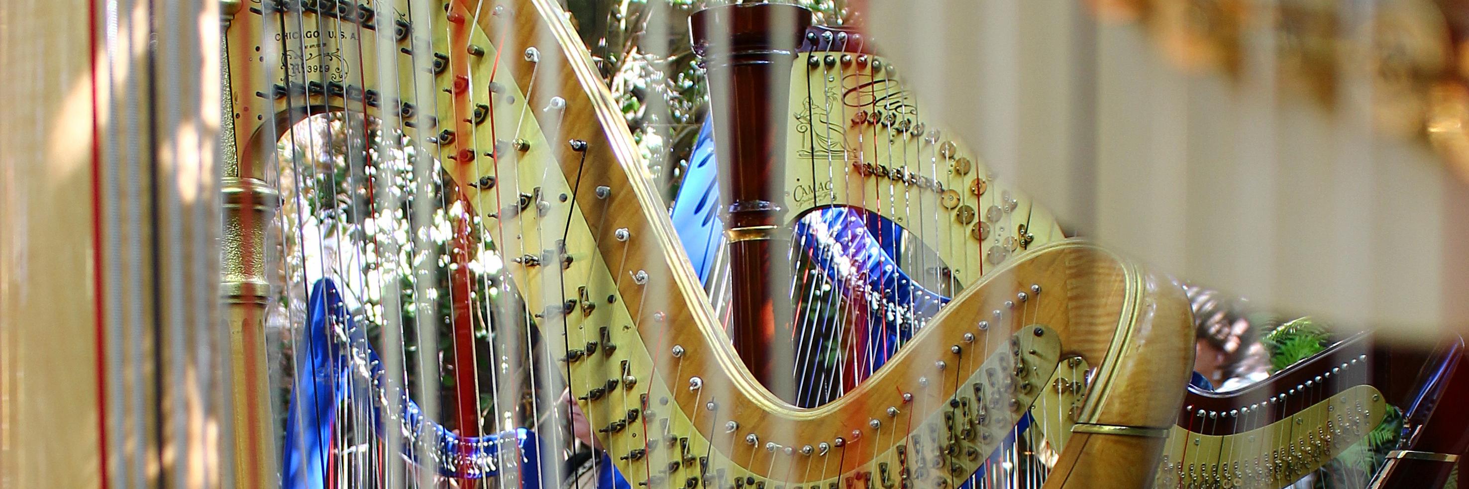 PacificHarps's profile banner image