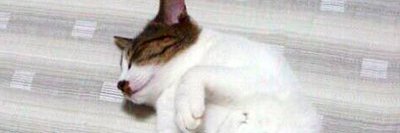 zabroow's profile banner image