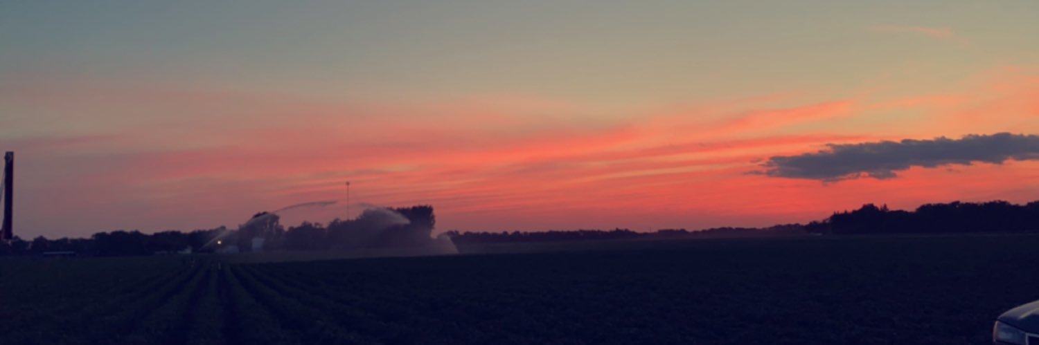 Snizification's profile banner image