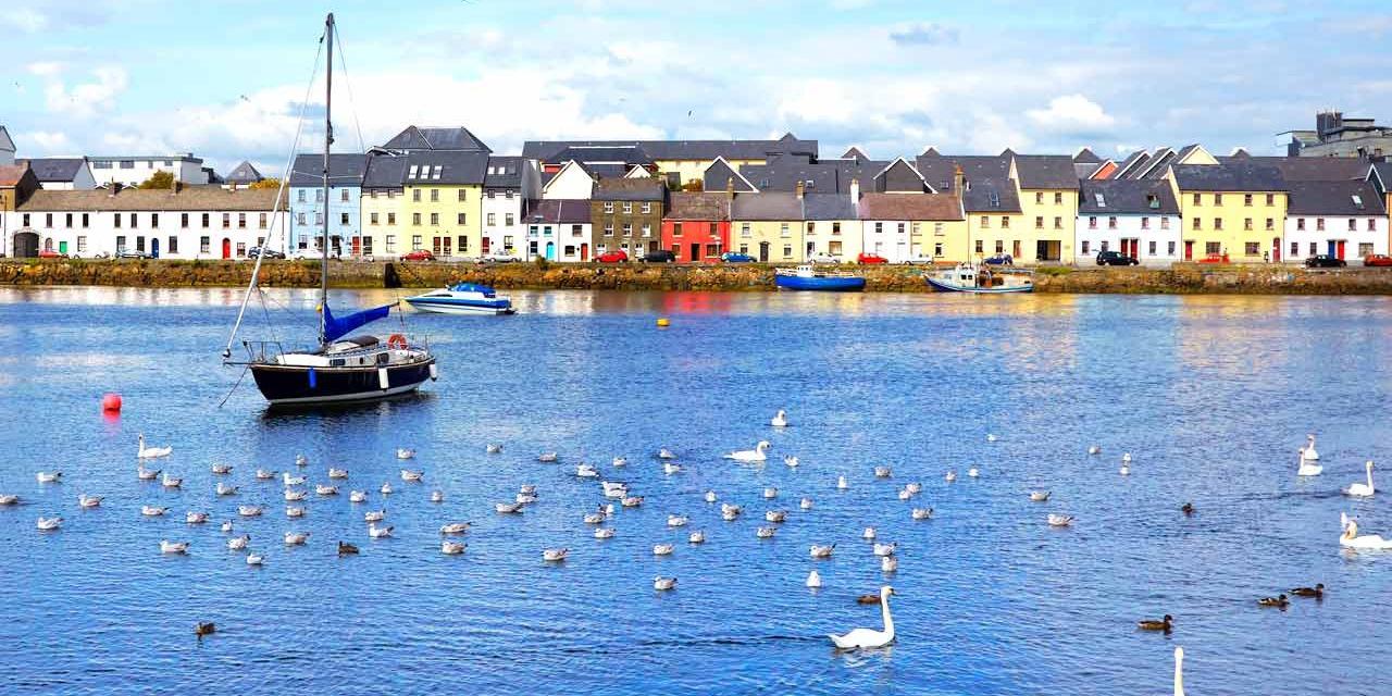 Nicola Barrett banner