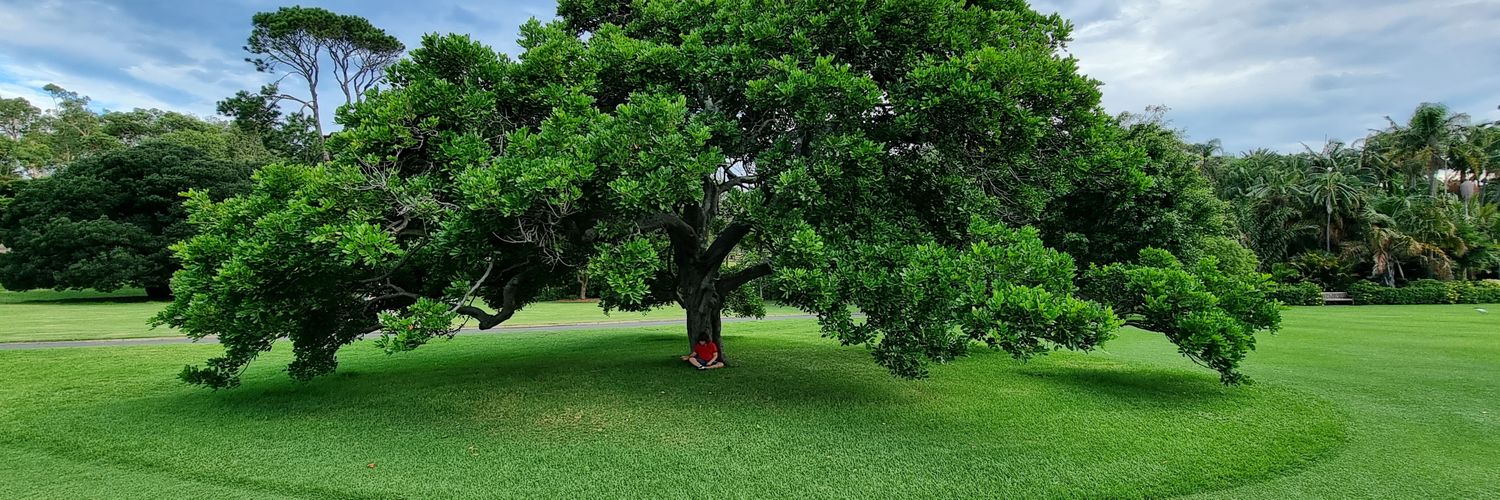 SocialCreator's profile banner image