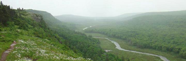 Catherine Frock banner