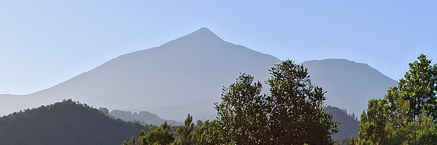 roqueigara's profile banner image