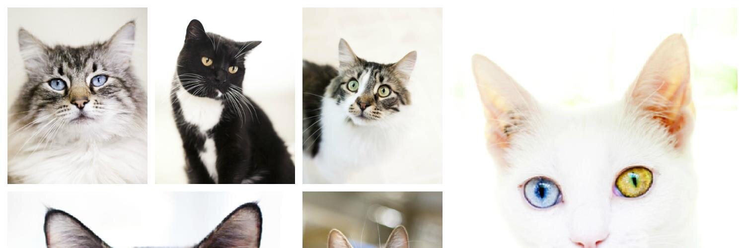 KatiesPlace's profile banner image