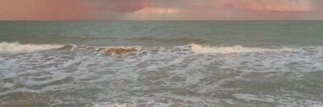 waistedfool's profile banner image