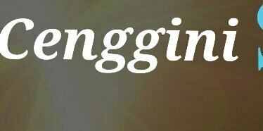 ToatSarang's profile banner image