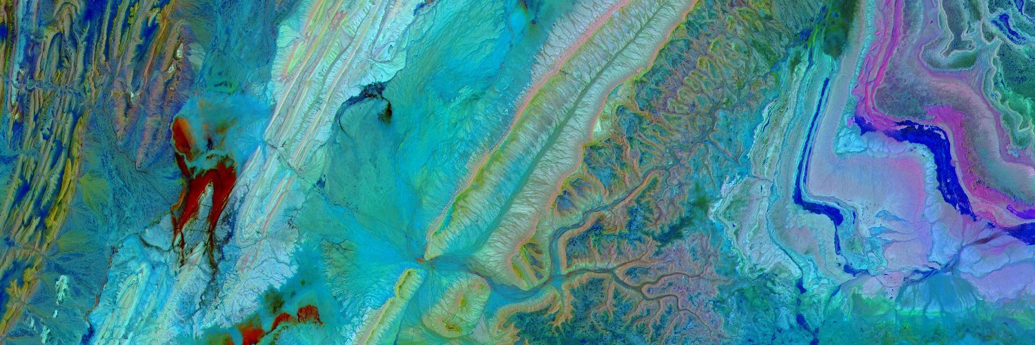 Lori Melton McKinnon banner