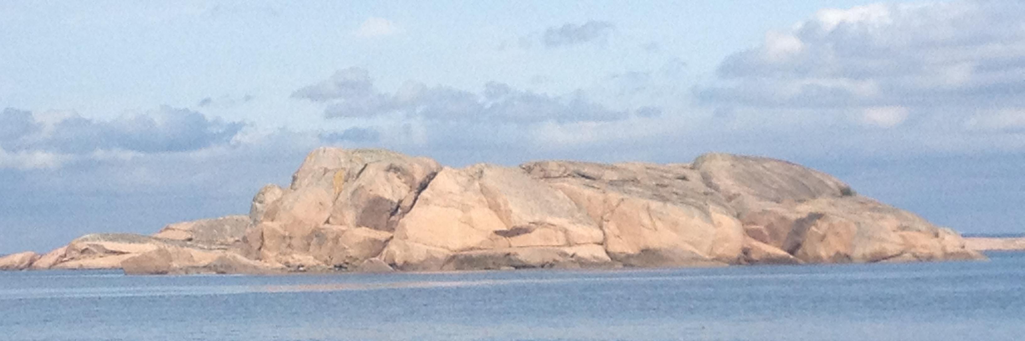 Tina Reuterskiöld banner