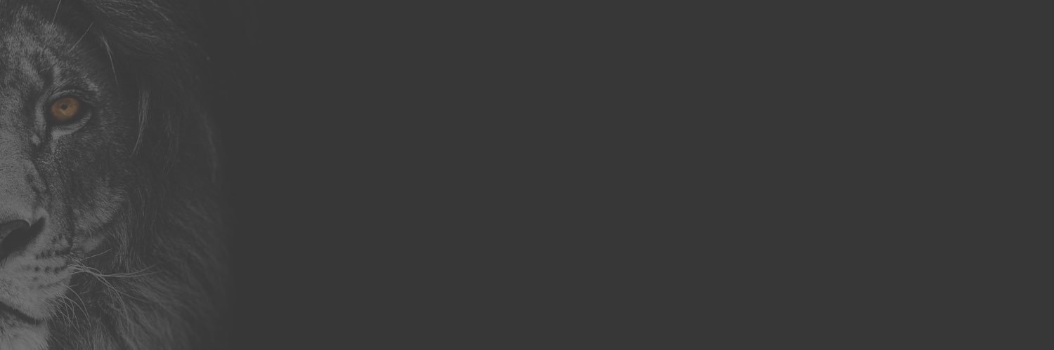 pralexandre_'s profile banner image