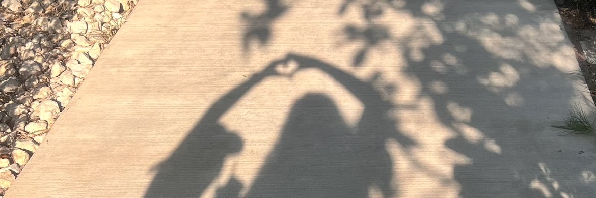 sndaee's profile banner image