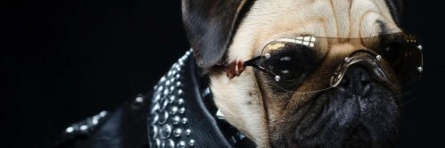Amyjess1976's profile banner image