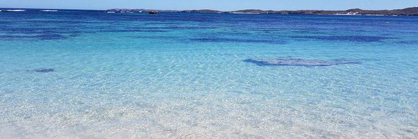 JeddaDowney Profile Banner