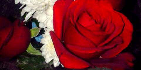 HandaDian's profile banner image