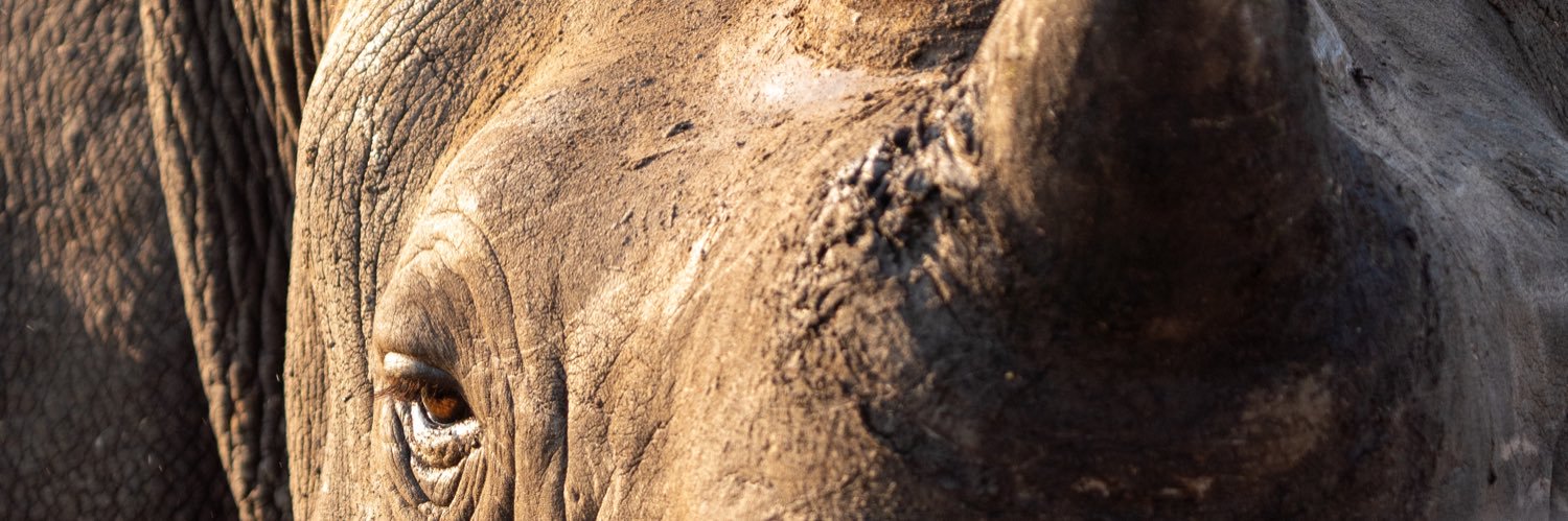 Timothy Kuiper banner