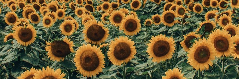 TraceyMelissaa's profile banner image