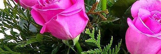 ba160361g's profile banner image