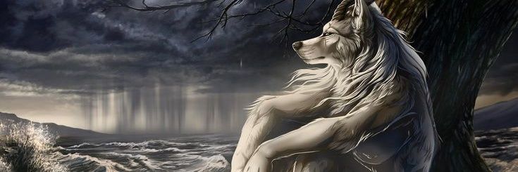 JavierAAJ's profile banner image