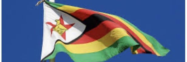 freedomrukwava's profile banner image
