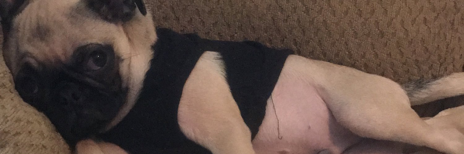 meg_williams9's profile banner image