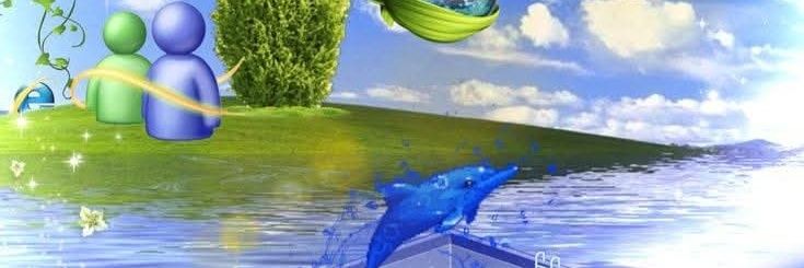 cawboy Carter banner